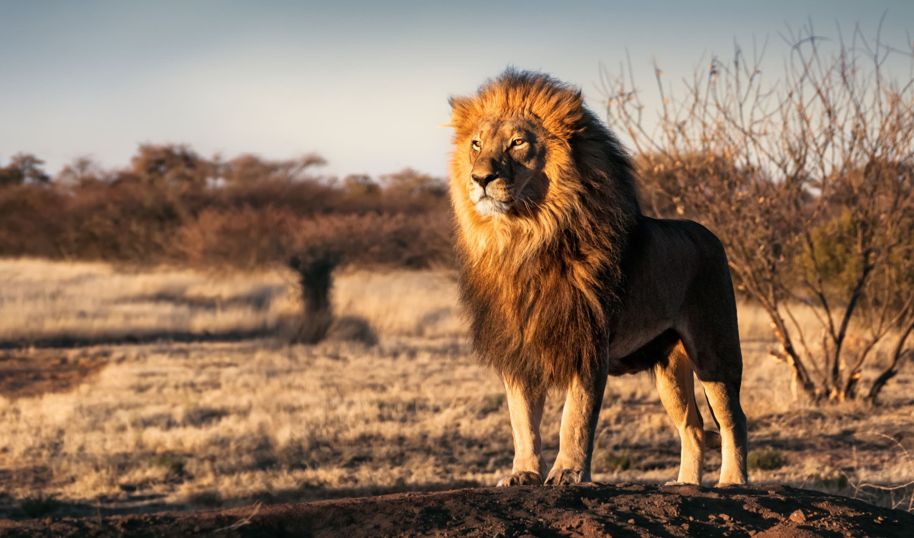 CPK Insurance office